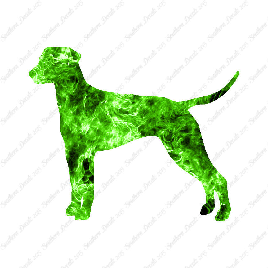 Dalmatian Dog Breed