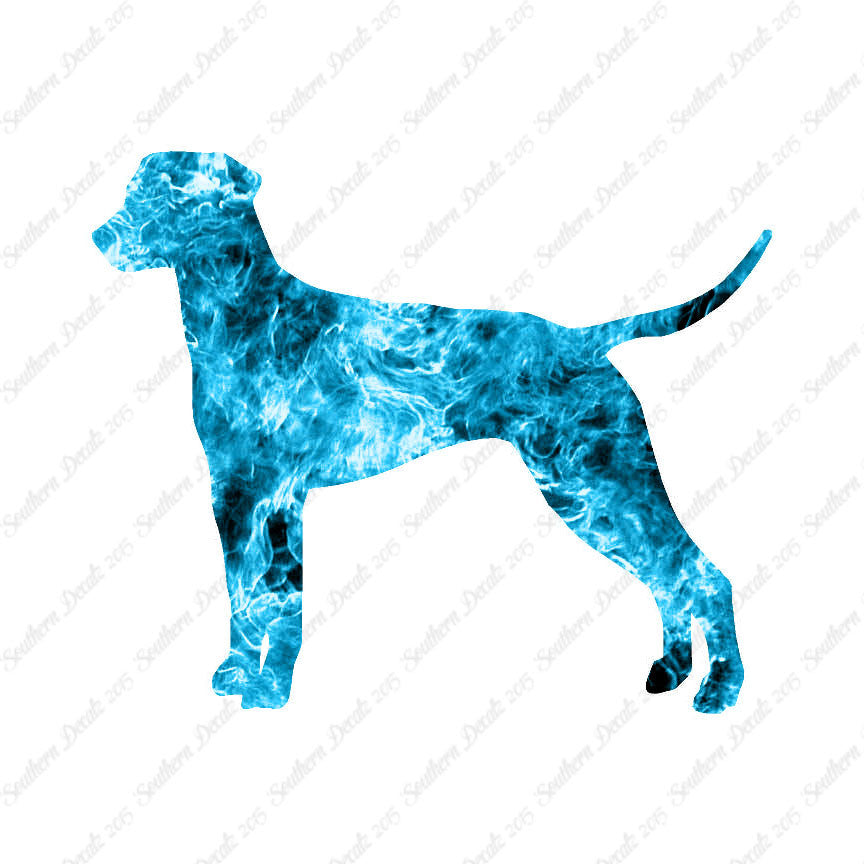 Dalmatian Dog Breed