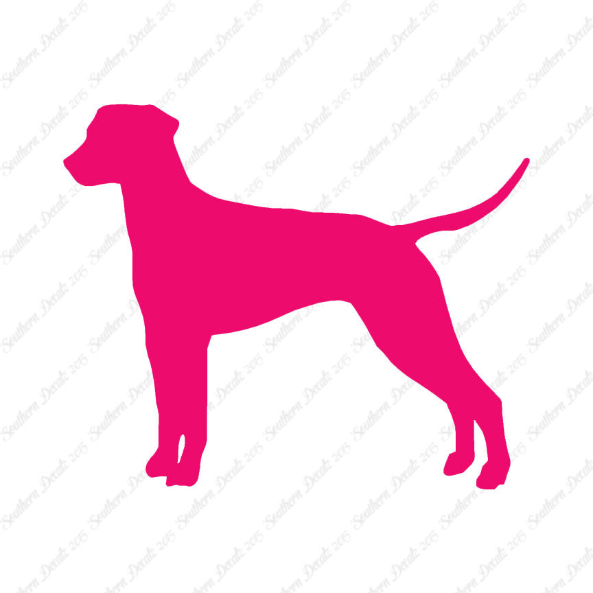 Dalmatian Dog Breed