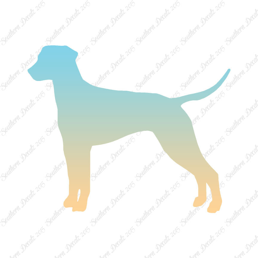 Dalmatian Dog Breed