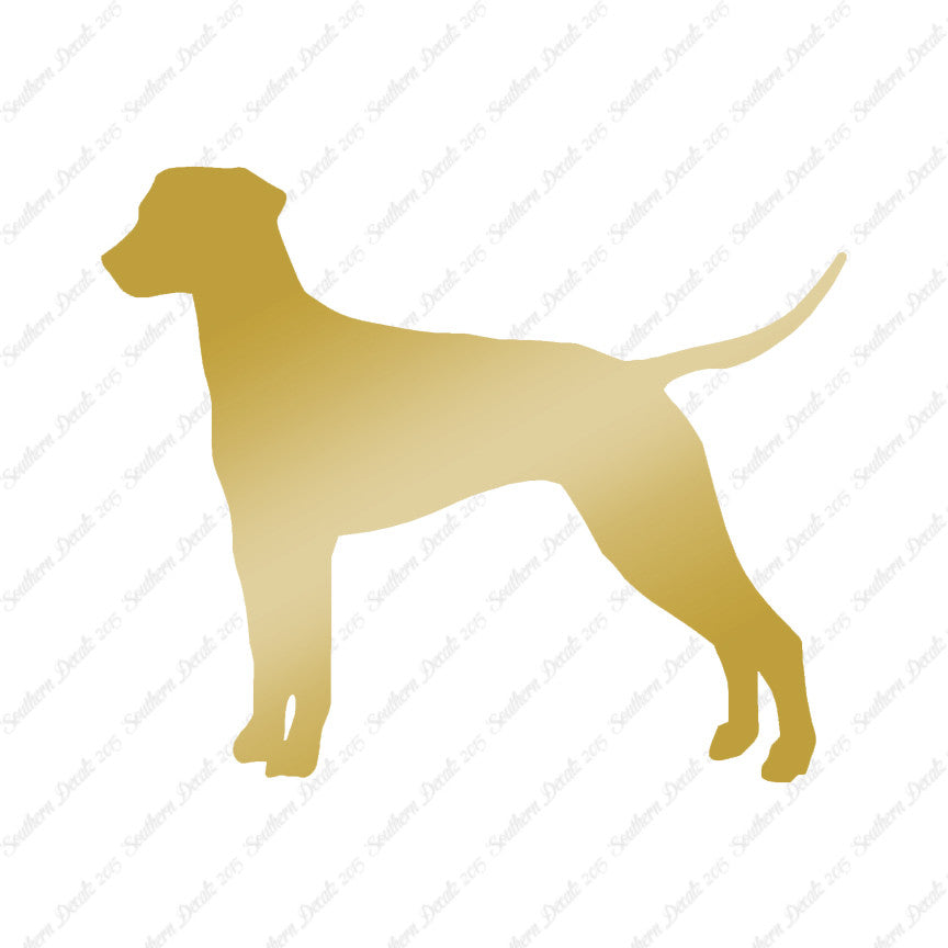 Dalmatian Dog Breed