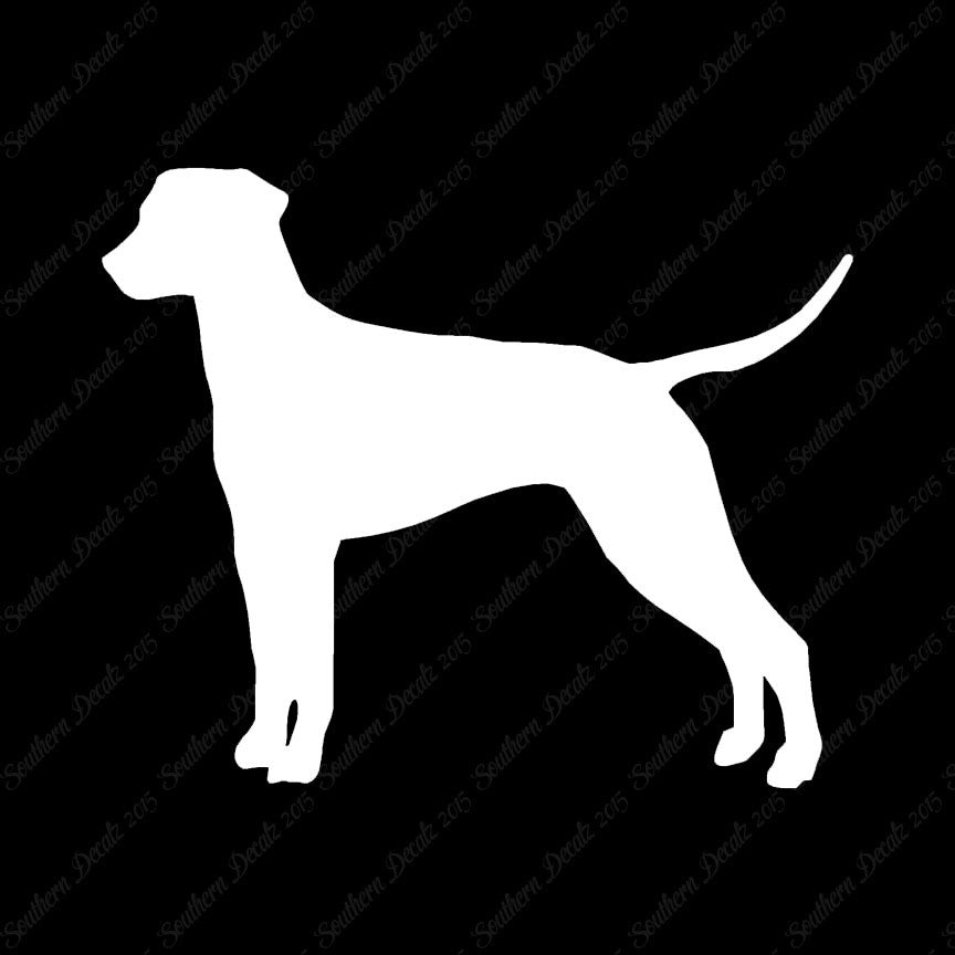 Dalmatian Dog Breed
