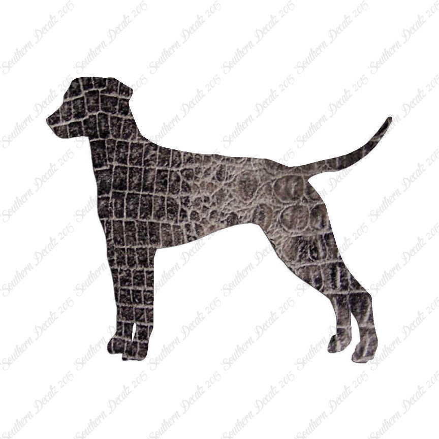 Dalmatian Dog Breed