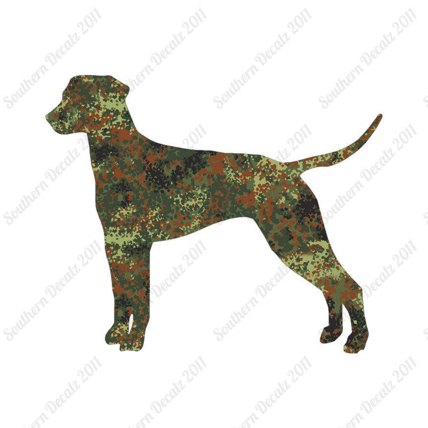 Dalmatian Dog Breed
