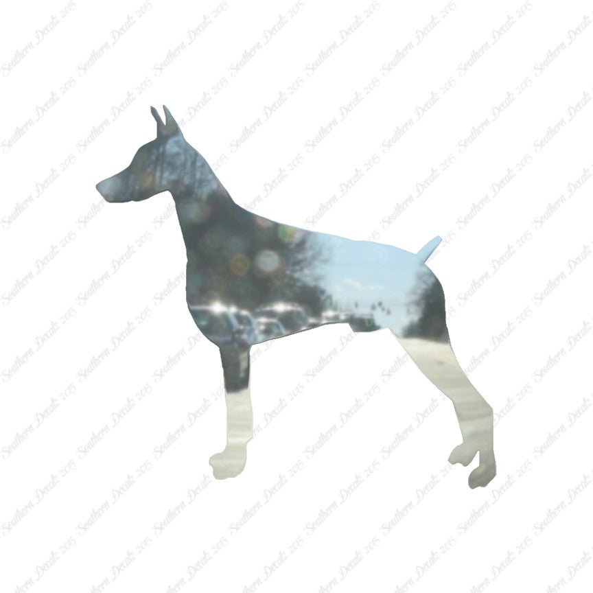 Doberman Dog Breed