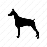 Doberman Dog Breed