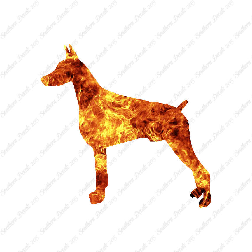 Doberman Dog Breed