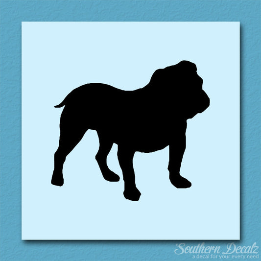 English Bulldog Dog Breed