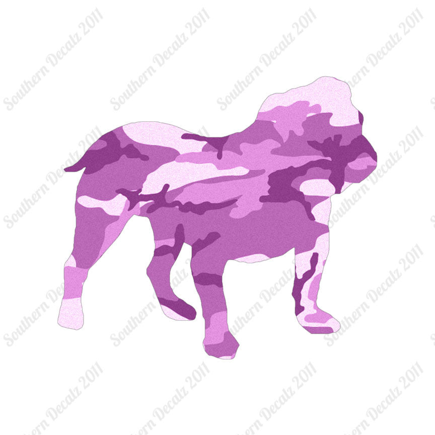 English Bulldog Dog Breed