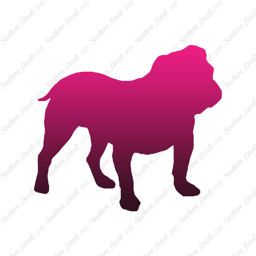 English Bulldog Dog Breed