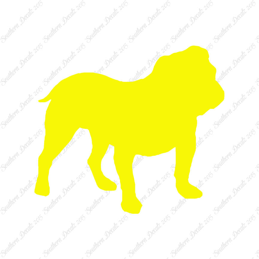 English Bulldog Dog Breed