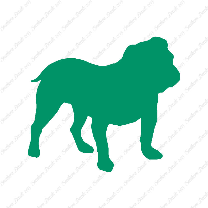 English Bulldog Dog Breed