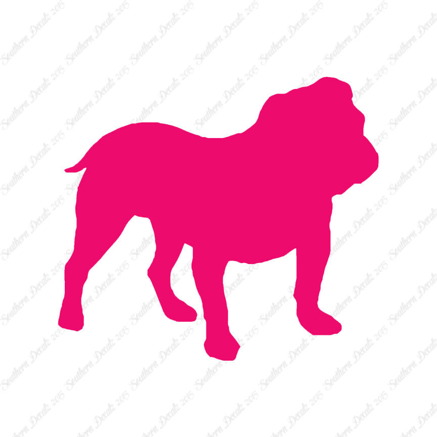 English Bulldog Dog Breed