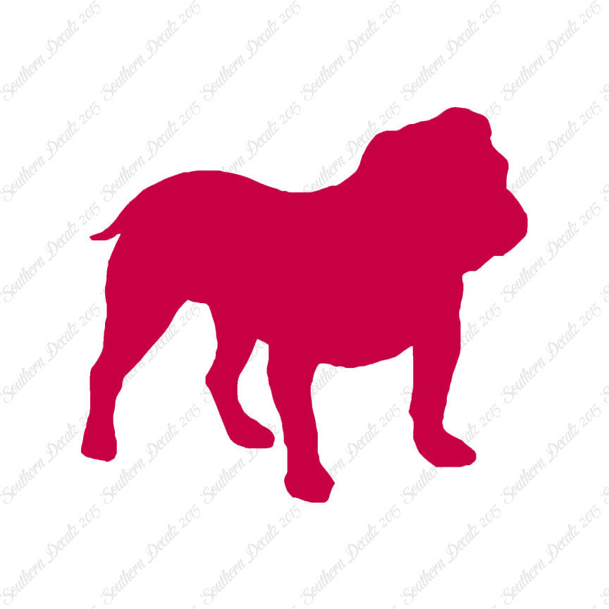 English Bulldog Dog Breed