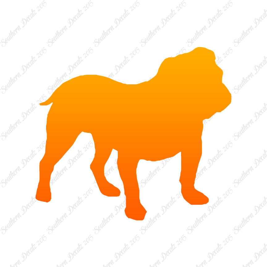 English Bulldog Dog Breed