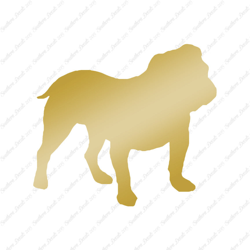 English Bulldog Dog Breed
