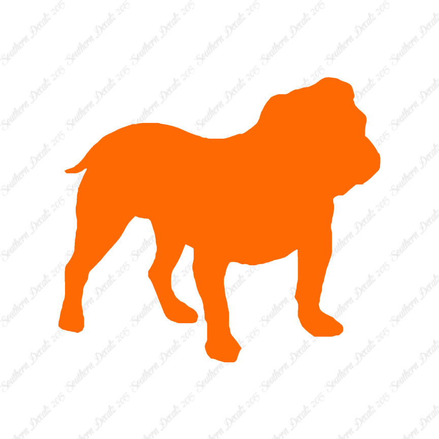 English Bulldog Dog Breed