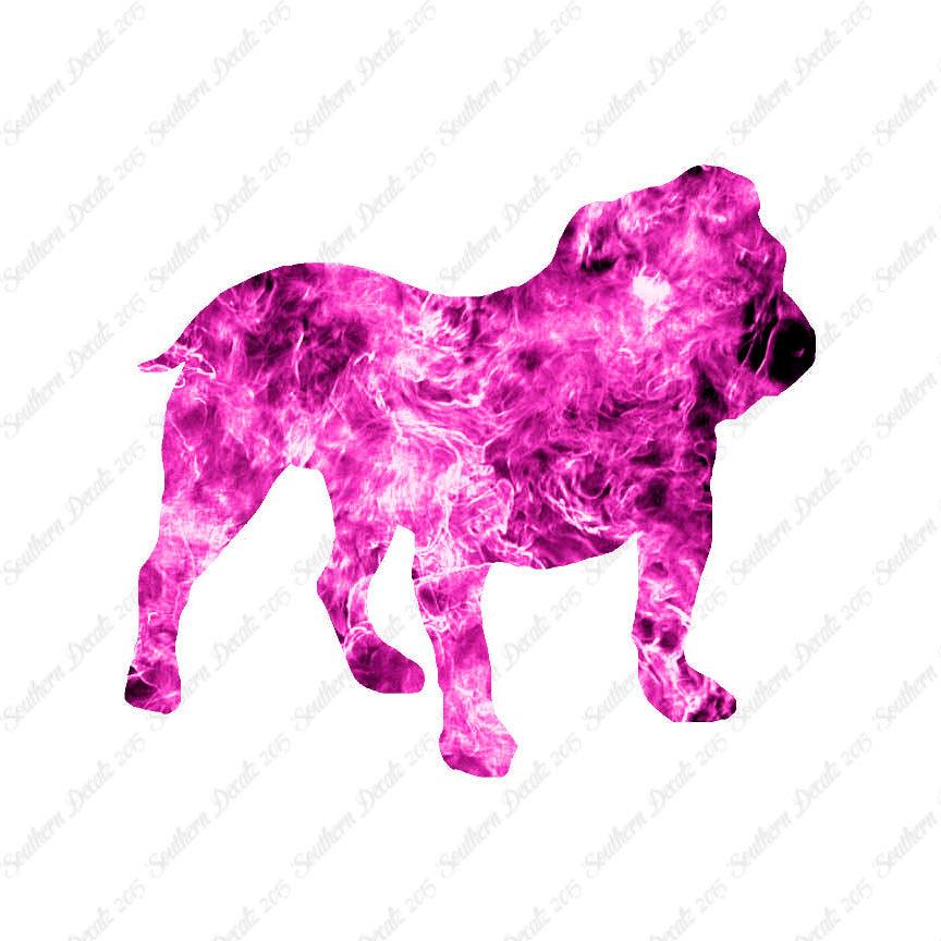 English Bulldog Dog Breed