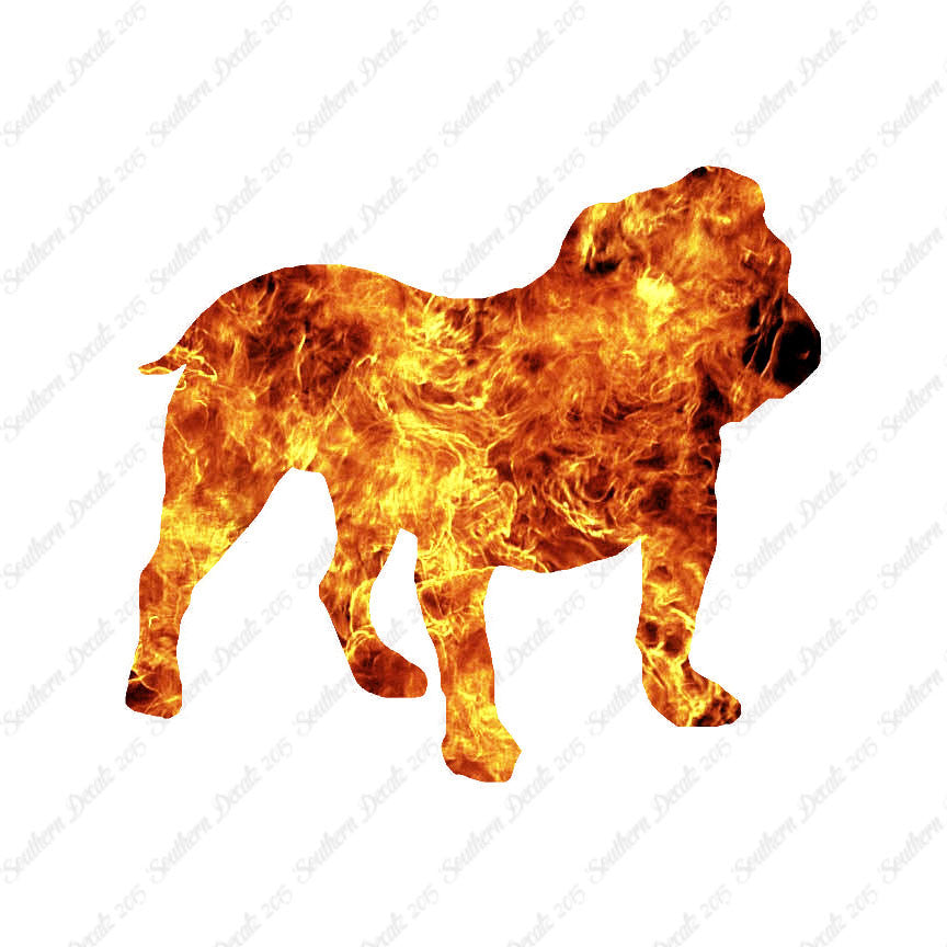 English Bulldog Dog Breed