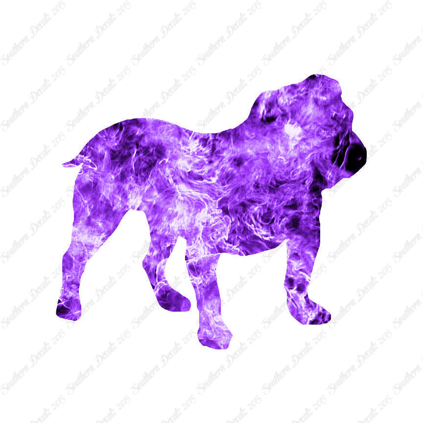 English Bulldog Dog Breed