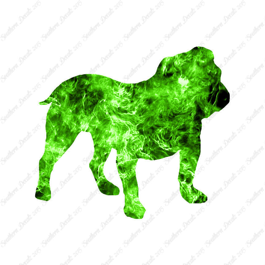 English Bulldog Dog Breed