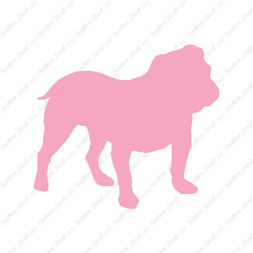 English Bulldog Dog Breed