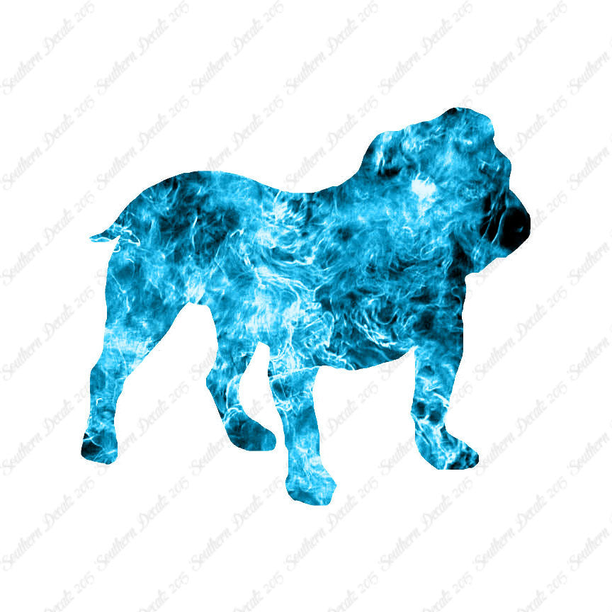English Bulldog Dog Breed