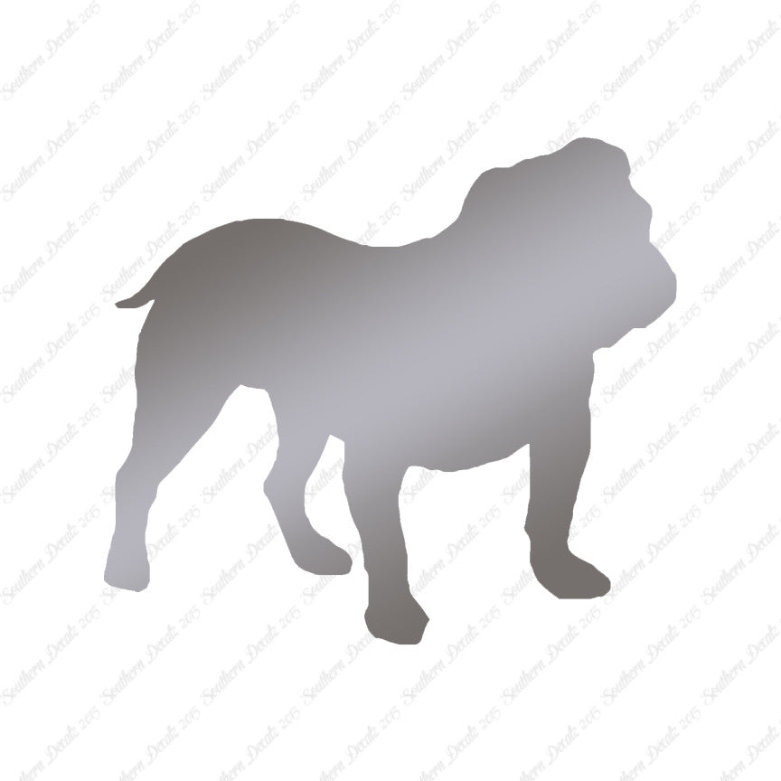 English Bulldog Dog Breed