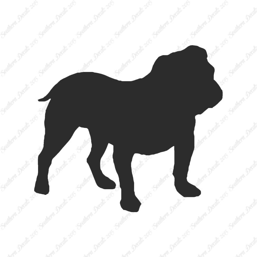 English Bulldog Dog Breed