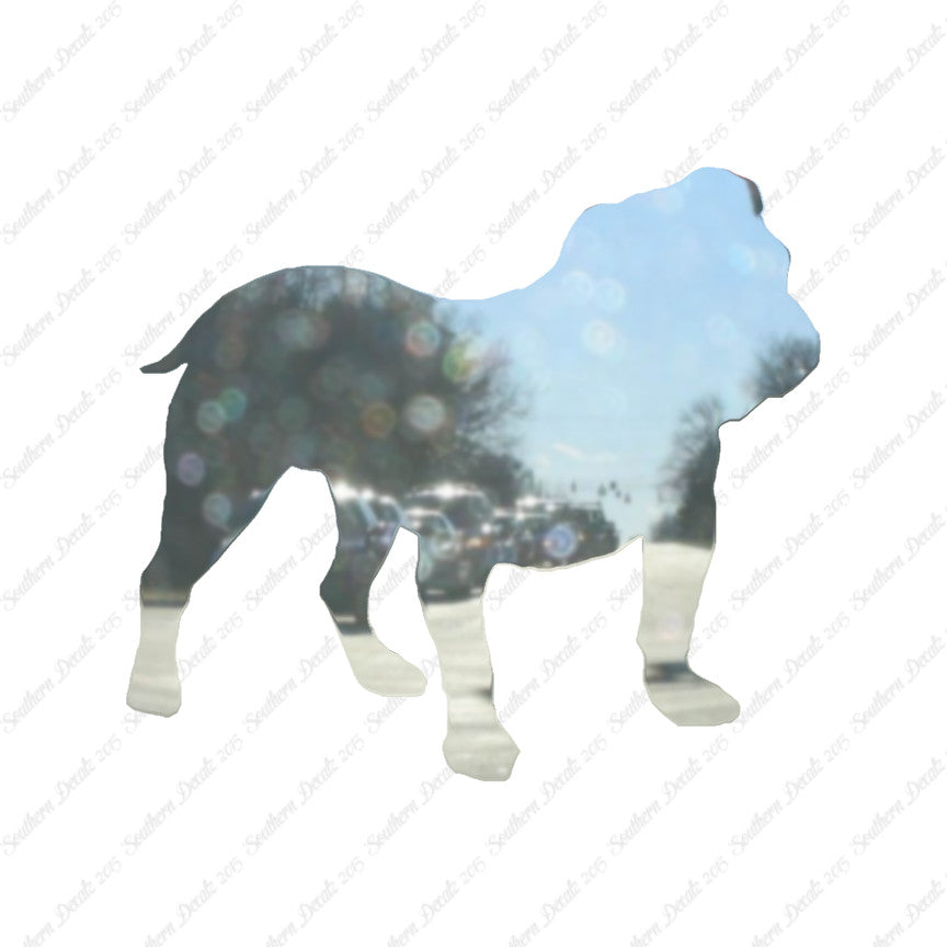 English Bulldog Dog Breed