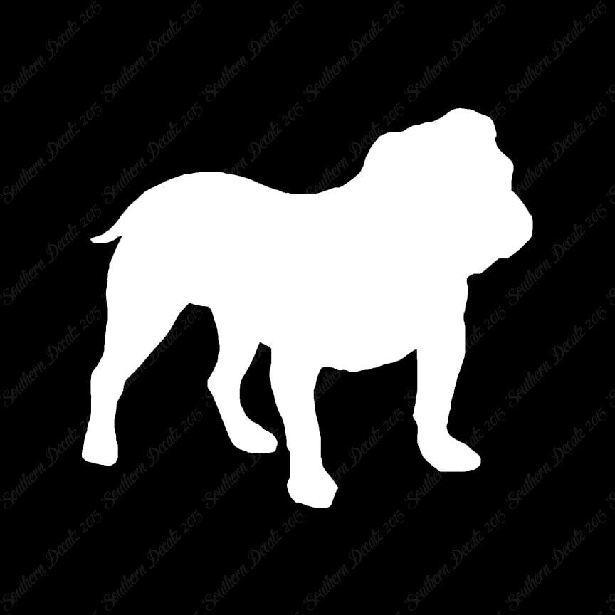 English Bulldog Dog Breed