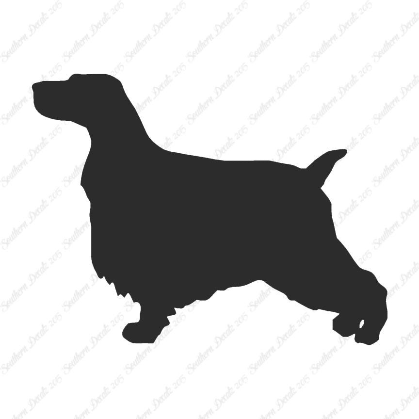English Cocker Spaniel Dog Breed