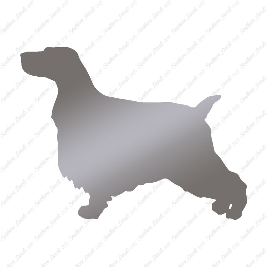 English Cocker Spaniel Dog Breed