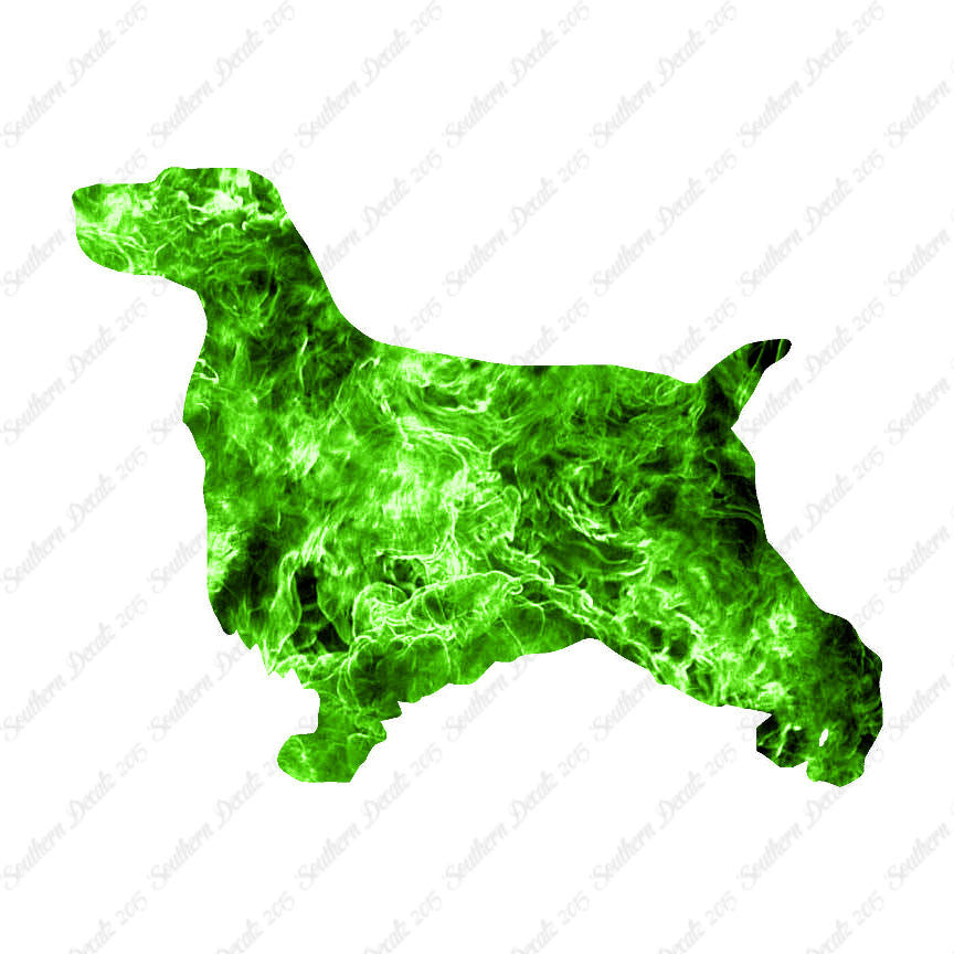 English Cocker Spaniel Dog Breed