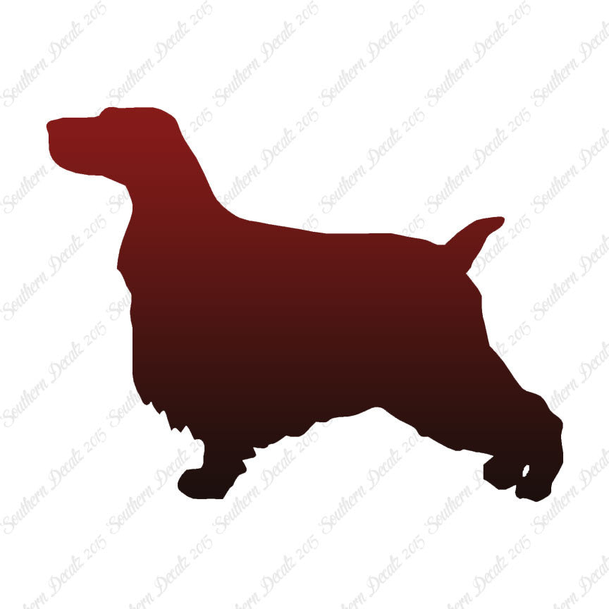 English Cocker Spaniel Dog Breed