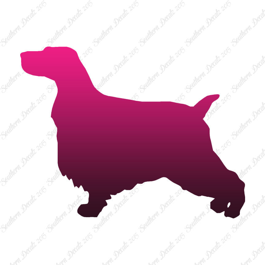 English Cocker Spaniel Dog Breed
