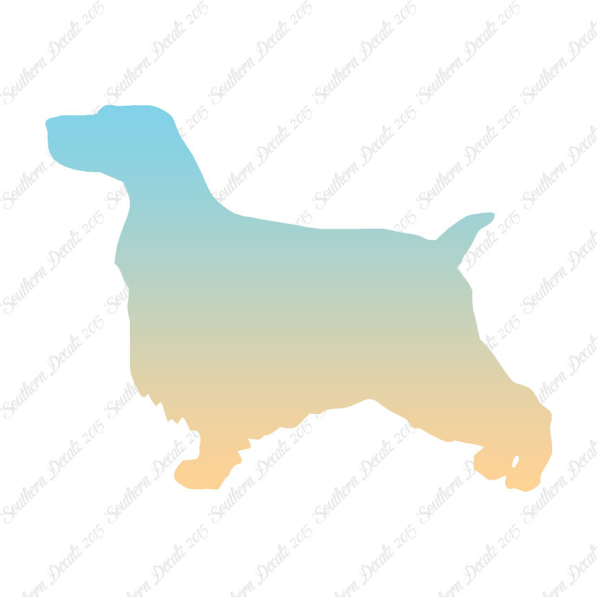 English Cocker Spaniel Dog Breed