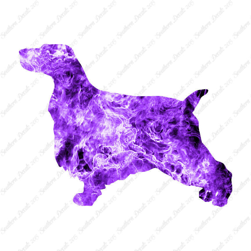 English Cocker Spaniel Dog Breed