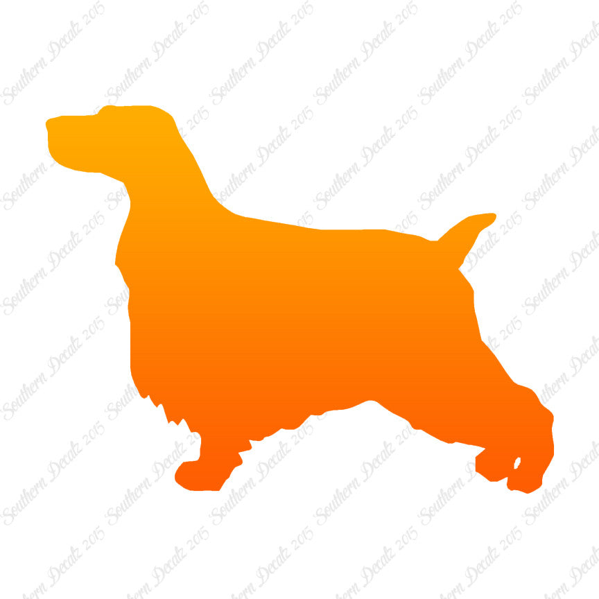 English Cocker Spaniel Dog Breed