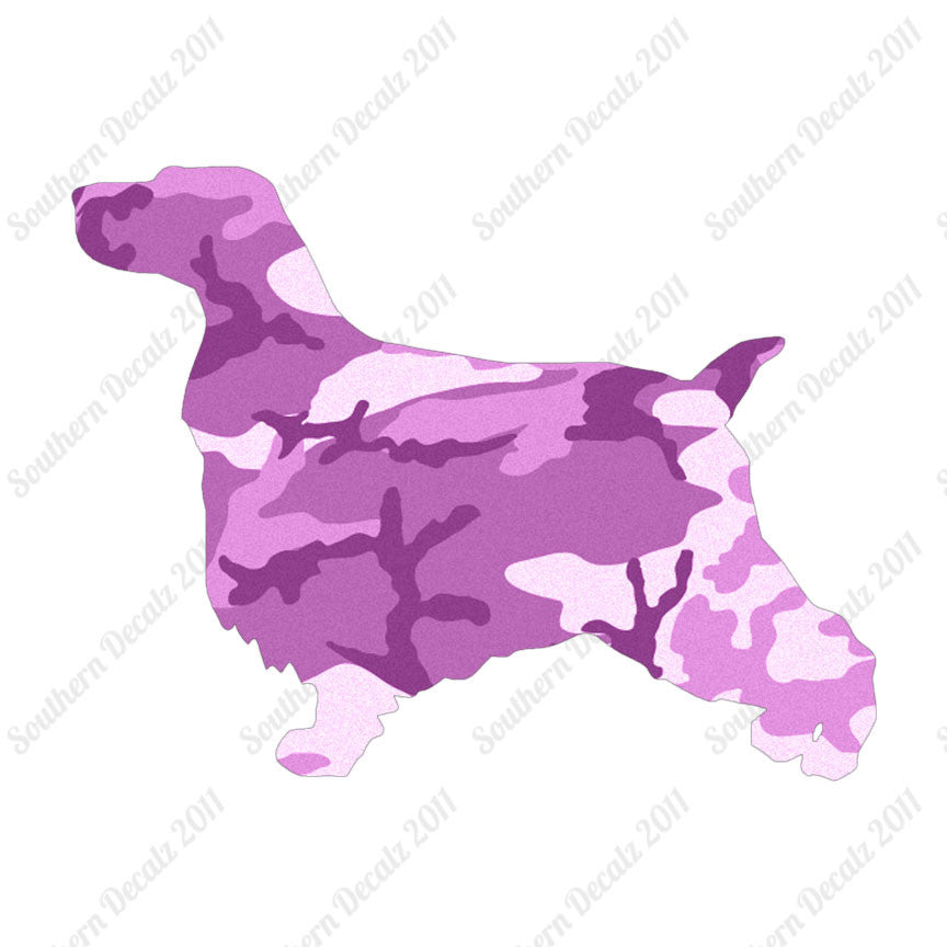 English Cocker Spaniel Dog Breed
