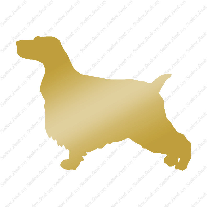 English Cocker Spaniel Dog Breed