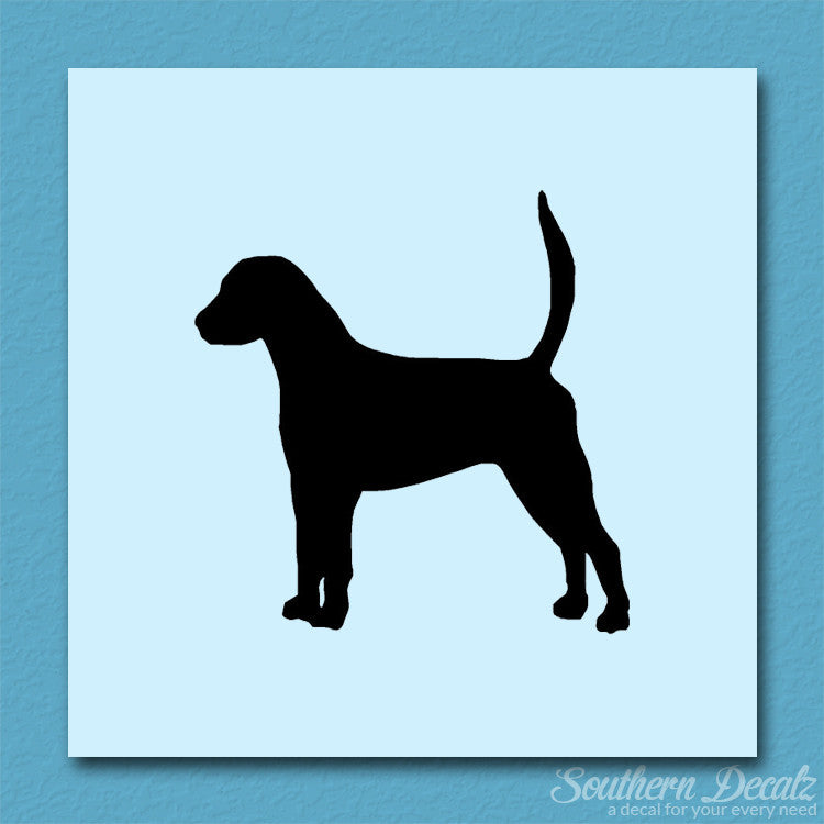 English Foxhound Dog Breed
