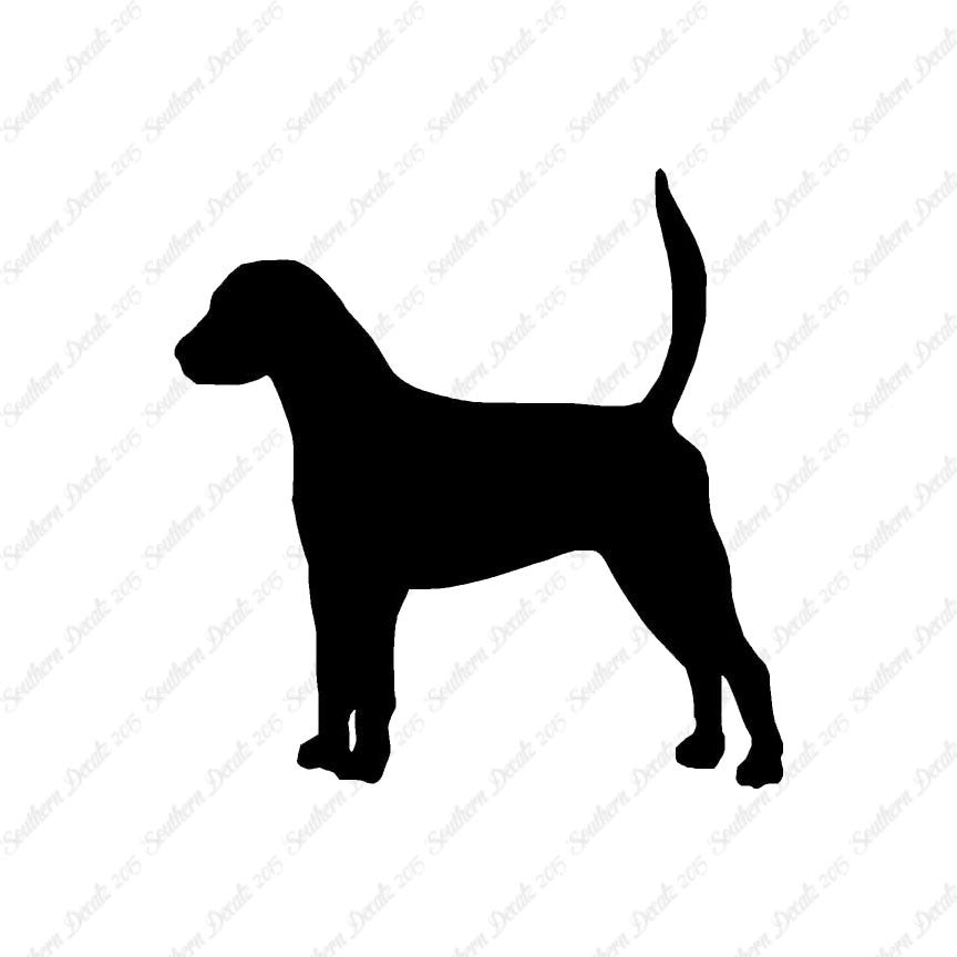 English Foxhound Dog Breed
