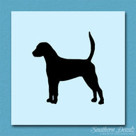 English Foxhound Dog Breed