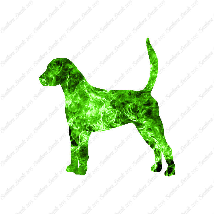 English Foxhound Dog Breed