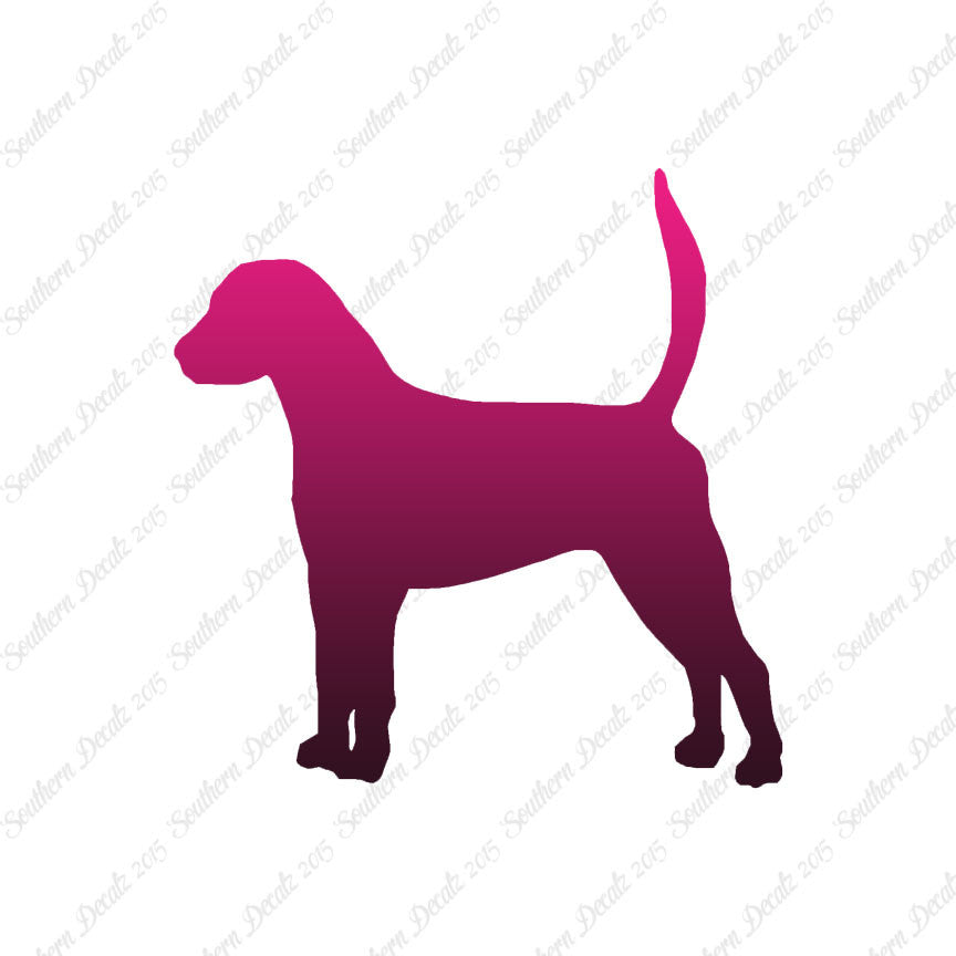 English Foxhound Dog Breed