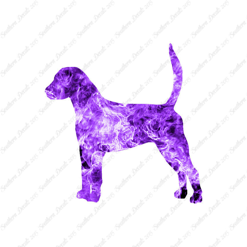 English Foxhound Dog Breed