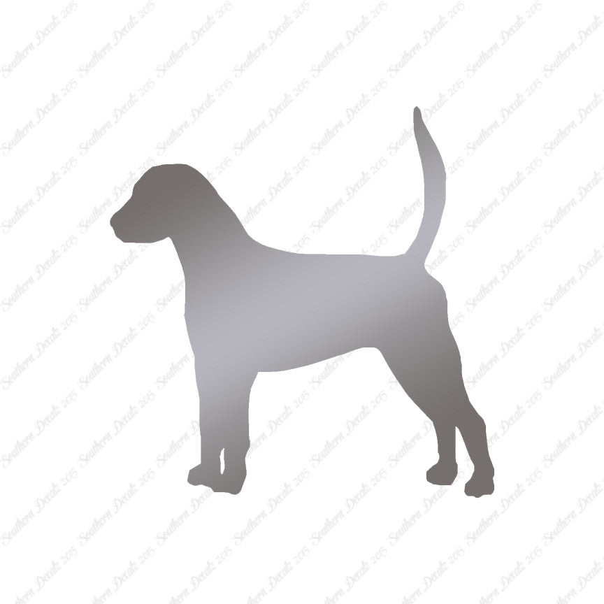 English Foxhound Dog Breed