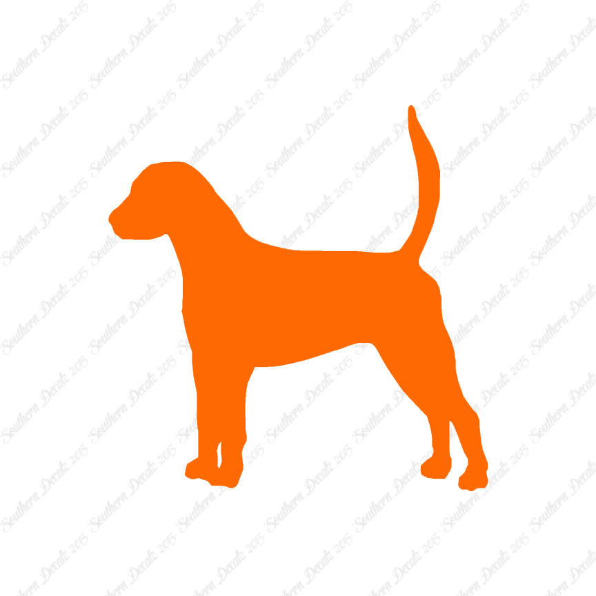 English Foxhound Dog Breed