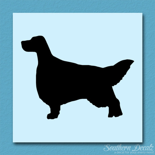 English Setter Dog Breed
